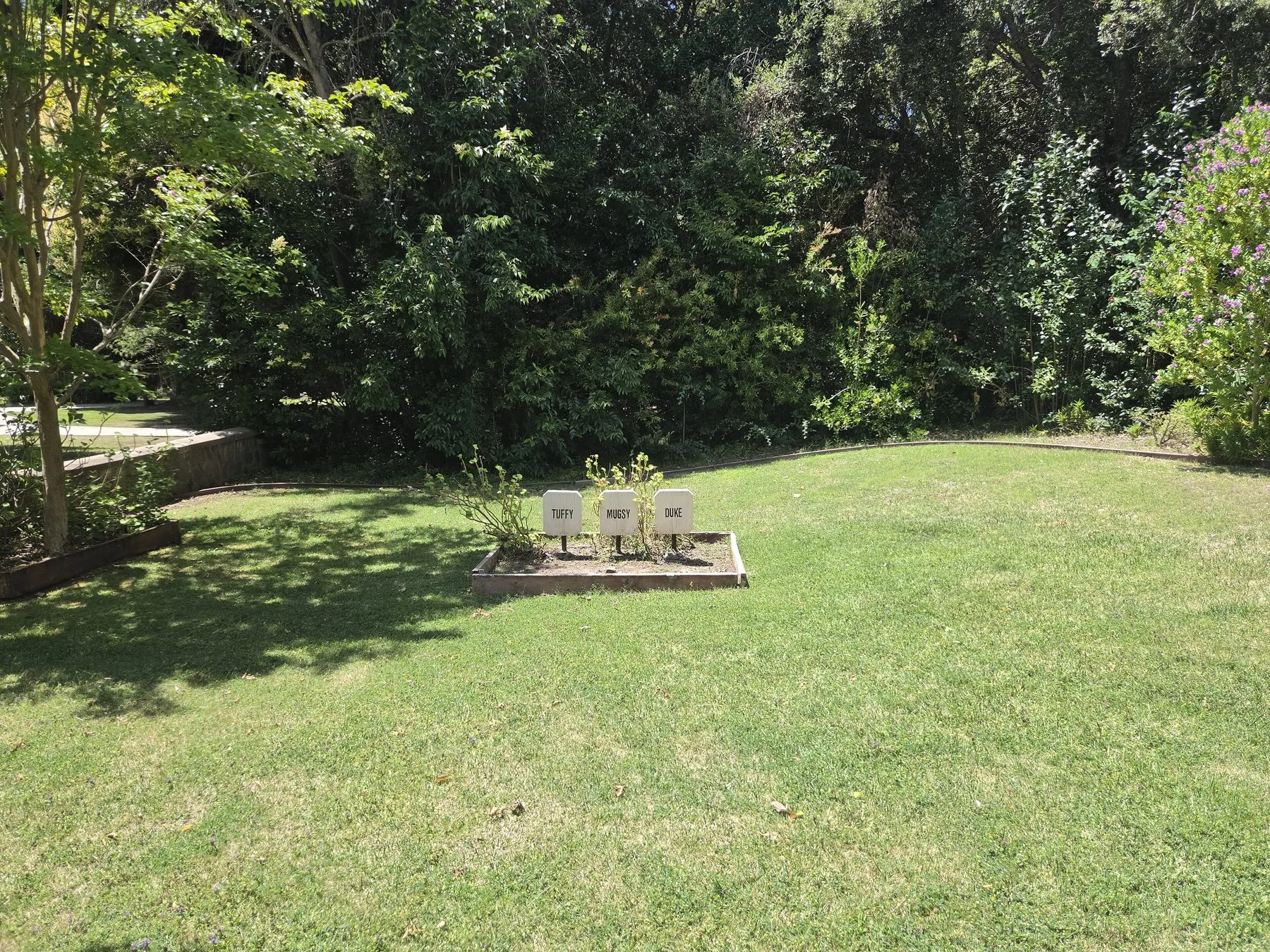 A quiet green lawn with small grave markers in a pet cemetery